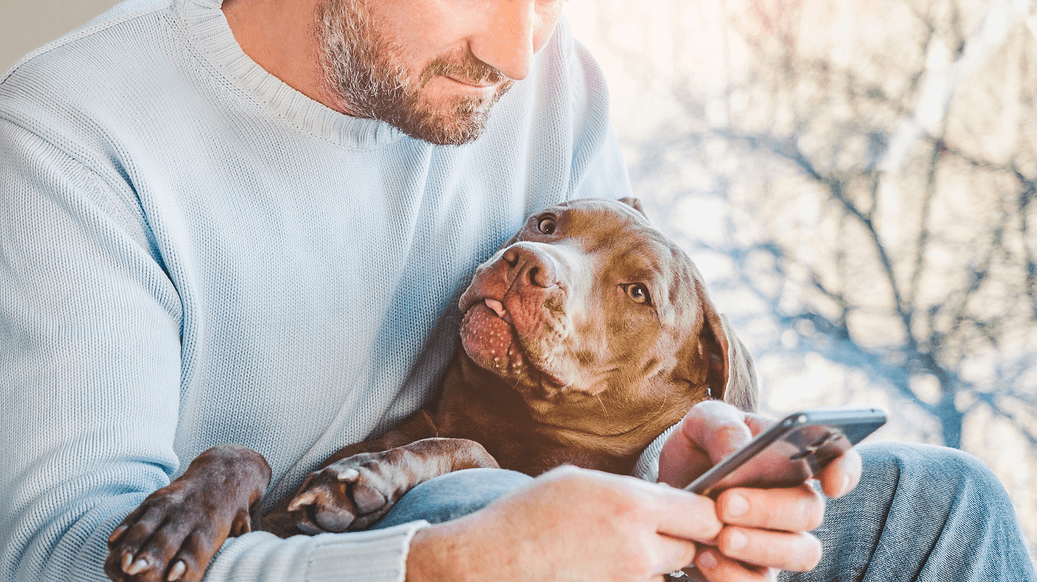 Pet owner using a phone while holding a dog
