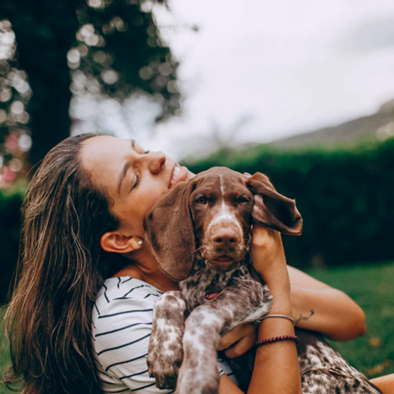 54% of dog owners are willing to end their relationship with their partner image 1