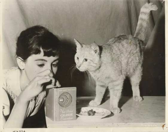 Anna Frank And Her Cats image 1