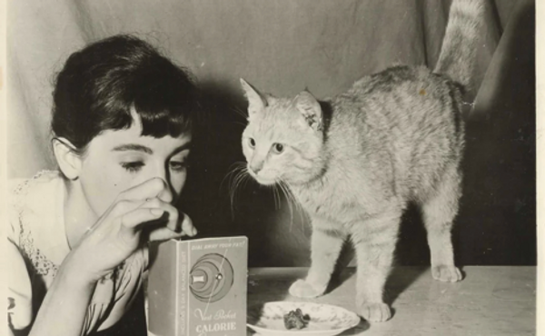 Anna Frank And Her Cats