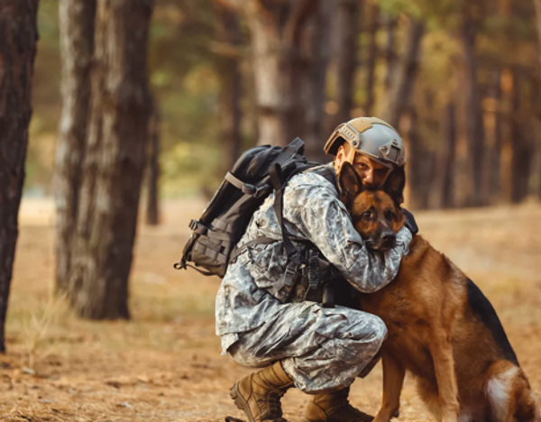 Dogs can be stressed when hugged