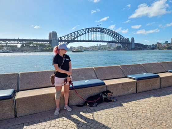 Dogs hired to keep seagulls away from Sidney's opera house image 2