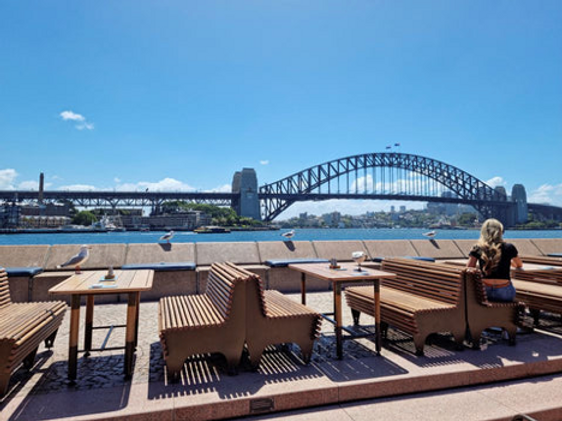 Dogs hired to keep seagulls away from Sidney's opera house image 3