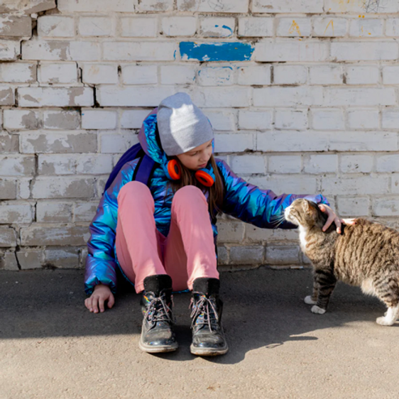 Finding a lost cat the Japanese way image 1