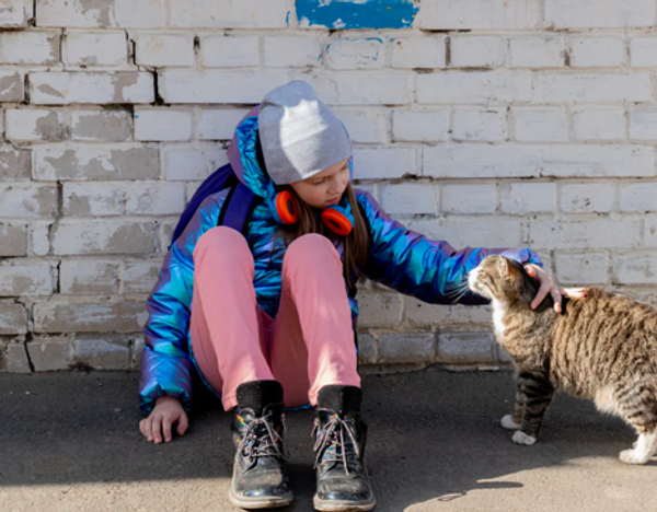 Finding a lost cat the Japanese way