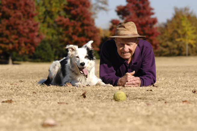 Remembering the smartest dog in the world image 1