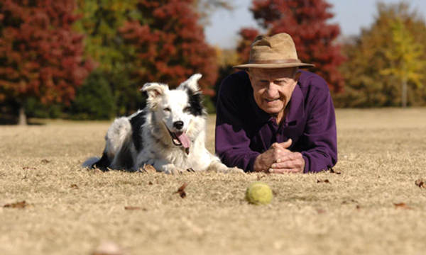 Remembering the smartest dog in the world