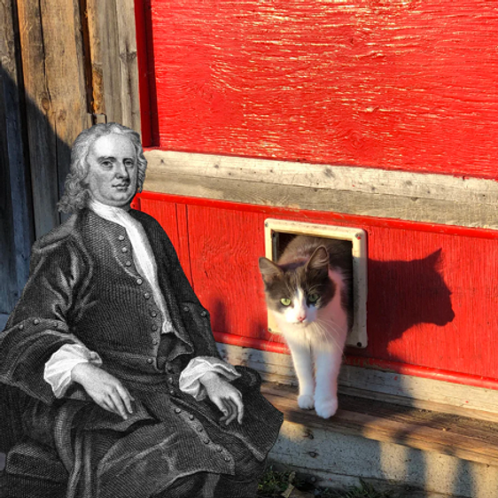 Sir Isaac Newton and the Cat Door image 1
