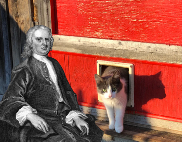 Sir Isaac Newton and the Cat Door