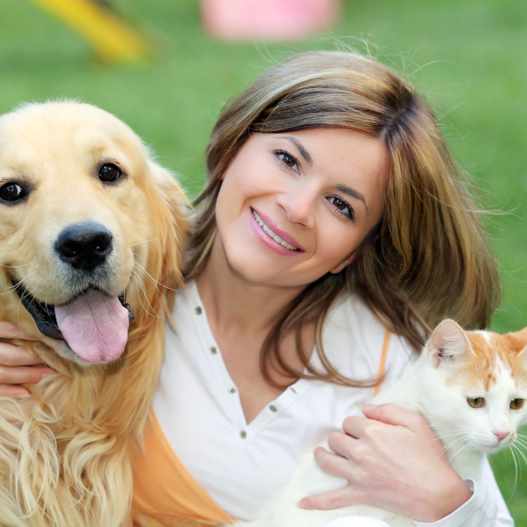Spain makes pets legal family members