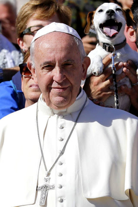"You are selfish for choosing pets over Children" says Pop Francis